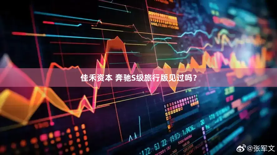 佳禾资本 奔驰S级旅行版见过吗？