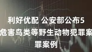 利好优配 公安部公布5起危害鸟类等野生动物犯罪案例